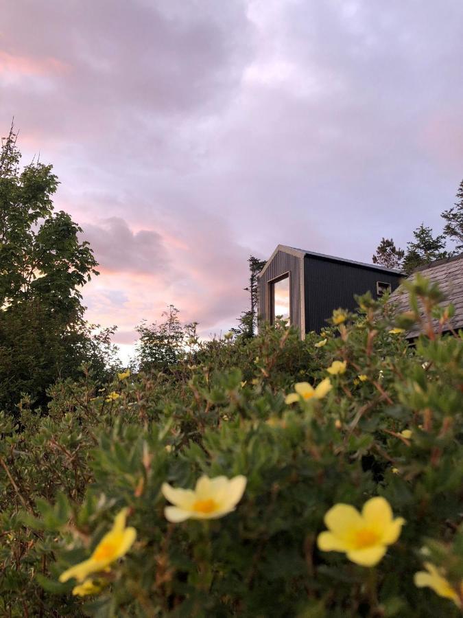 Tiny Home In Isle Of Skye-Pet Friendly Elgol Exteriör bild