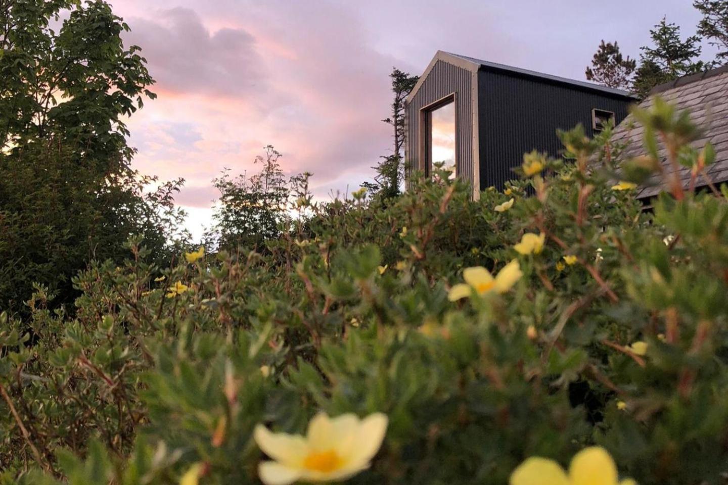 Tiny Home In Isle Of Skye-Pet Friendly Elgol Exteriör bild